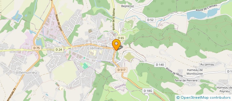 localisation de l'entreprise MARY'S & SONS  CREMIEU