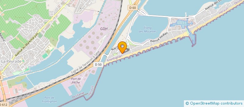 localisation de l'entreprise MARYAN à FRONTIGNAN