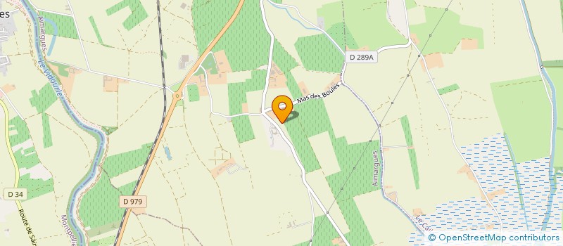 localisation de l'entreprise MAS DE BOR  AIMARGUES