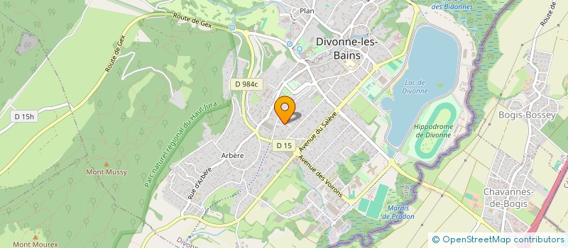 localisation de l'entreprise MAS DE L OLIVIER  DIVONNE-LES-BAINS
