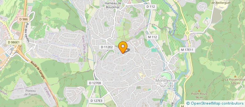 localisation de l'entreprise MAS DES GRANDS PINS  MONTFERRIER-SUR-LEZ