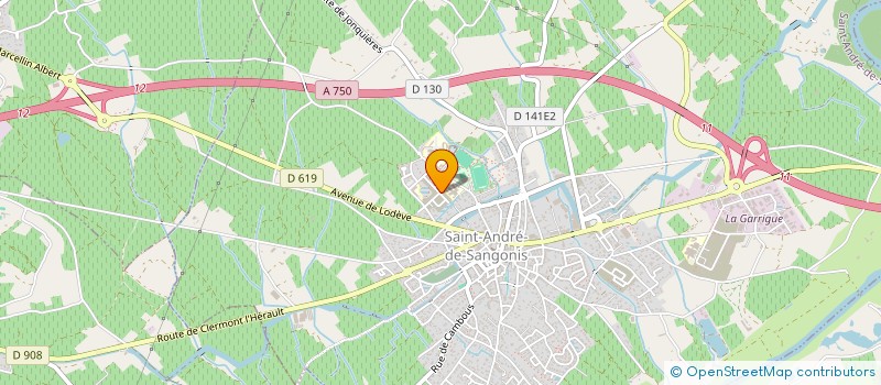 localisation de l'entreprise MASCIIN IT  SAINT-ANDRE-DE-SANGONIS