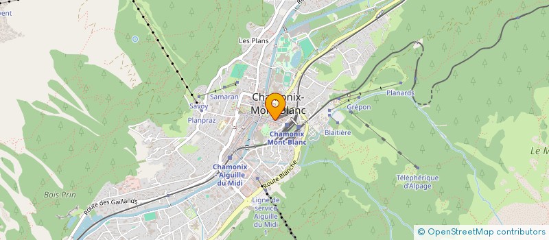 localisation de l'entreprise MASSON FLEURS  CHAMONIX-MONT-BLANC