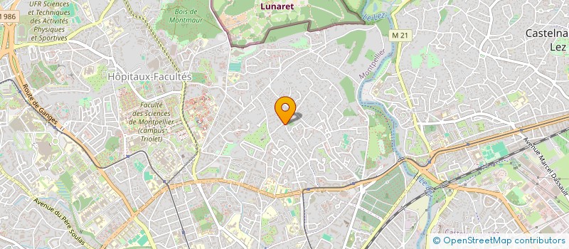 localisation de l'entreprise MASTER AND FELLOW à MONTPELLIER