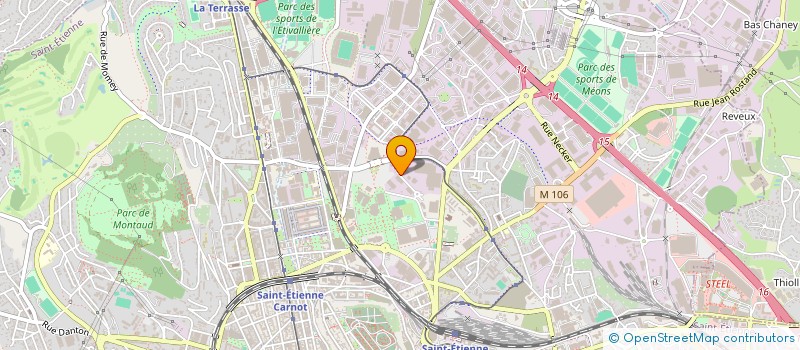 localisation de l'entreprise MASTER DSP  SAINT-ETIENNE