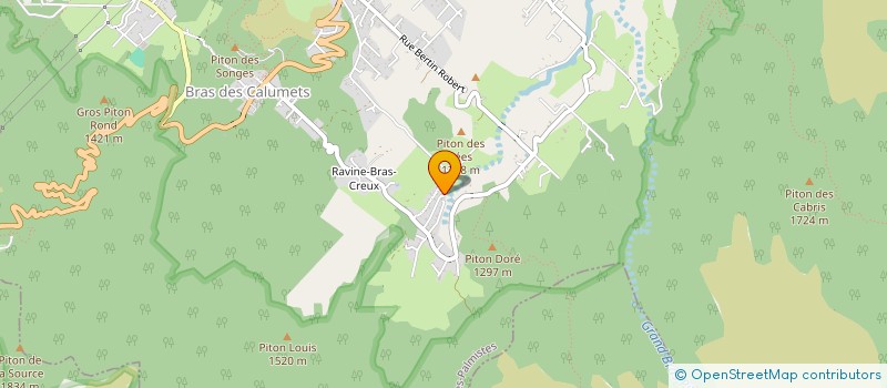 localisation de l'entreprise MATHABEL  LA PLAINE-DES-PALMISTES