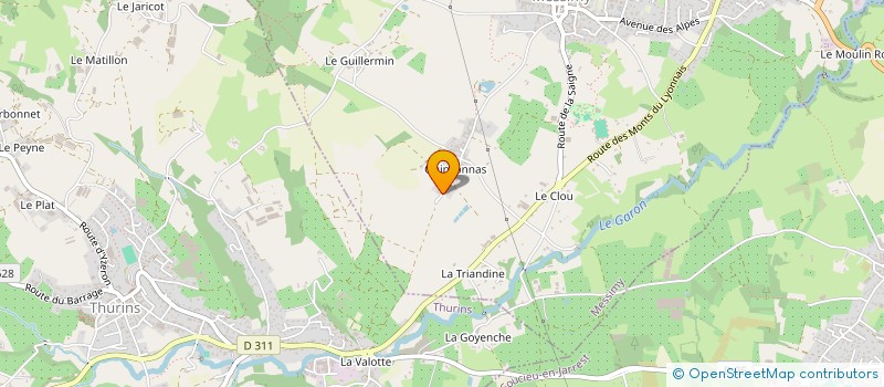 localisation de l'entreprise MATHIEU ABEILLON SERVICES  MESSIMY