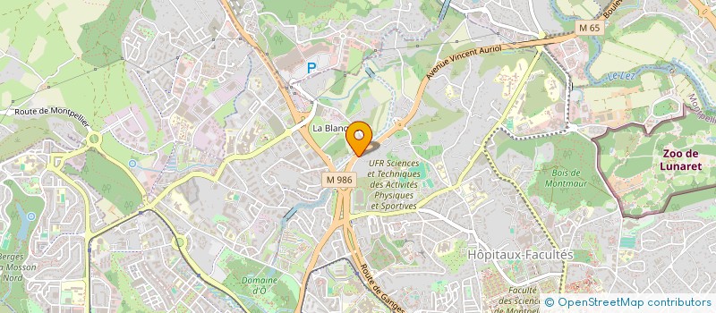 localisation de l'entreprise MAUGUIO IMMO à MONTPELLIER
