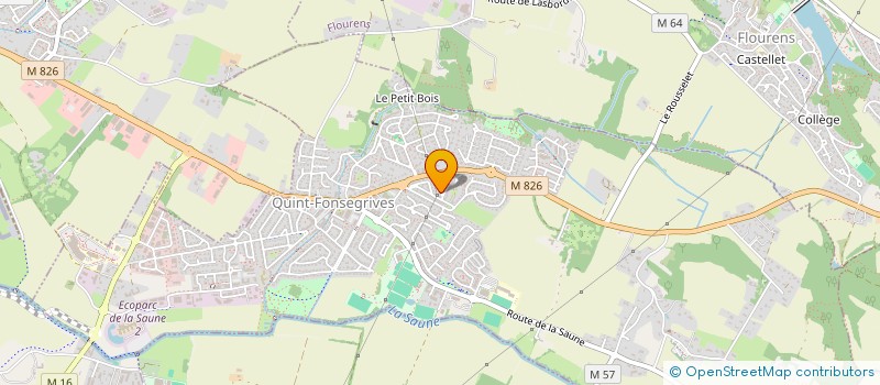 localisation de l'entreprise MAVAMA  QUINT-FONSEGRIVES