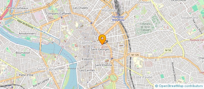 localisation de l'entreprise MAVERICK SKYDIVE à TOULOUSE