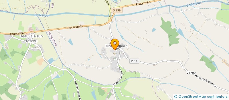 localisation de l'entreprise MAVI  MONTGAILLARD