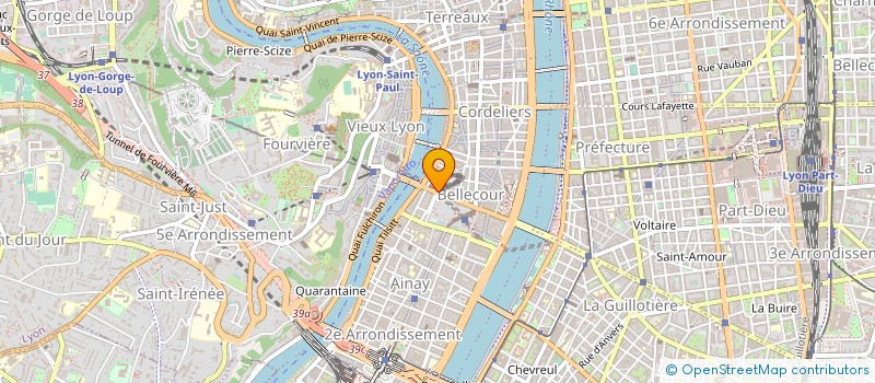 localisation de l'entreprise MAVISAGA à LYON