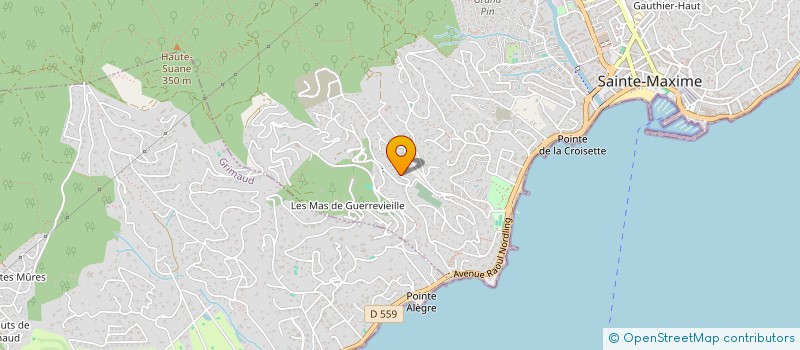 localisation de l'entreprise MAX à SAINTE-MAXIME
