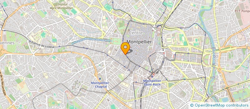 localisation de l'entreprise MAX GOURMAND à MONTPELLIER