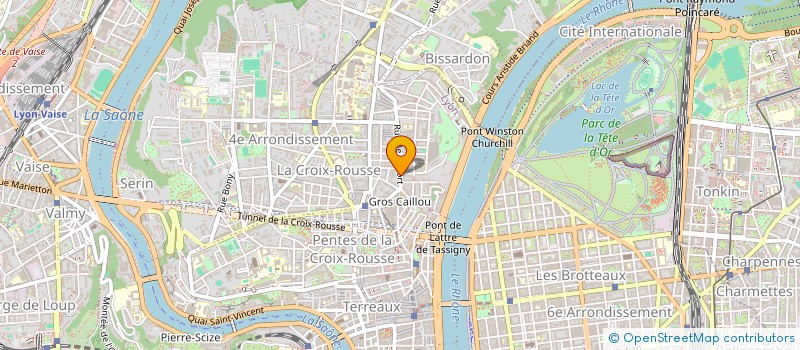 localisation de l'entreprise MAXIME DOLINSKI EURL à LYON