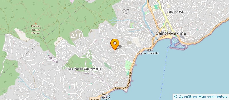 localisation de l'entreprise MAXIME INFORMATIQUE SYSTEMS  SAINTE-MAXIME