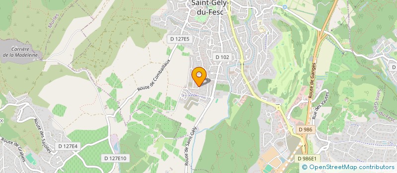 localisation de l'entreprise MAYAVA  SAINT-GELY-DU-FESC