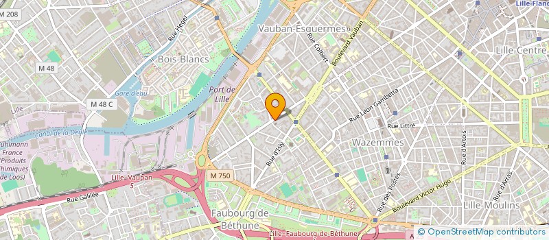 localisation de l'entreprise MAYIMMO à LILLE