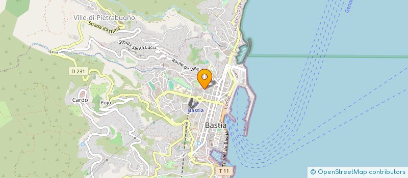 localisation de l'entreprise MAZARINE à BASTIA