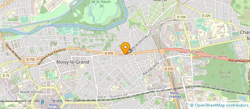 localisation de l'entreprise MAZARS RENE  NOISY-LE-GRAND