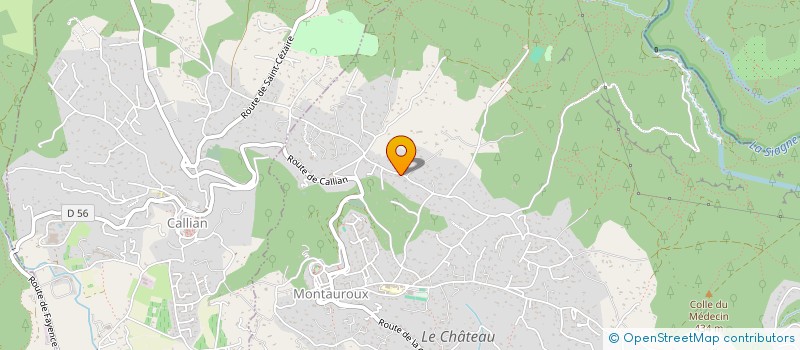 localisation de l'entreprise MAZGAU IMMOBILIER  MONTAUROUX