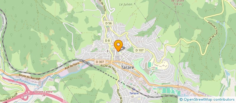 localisation de l'entreprise MAZOLEE  TARARE