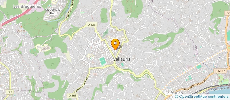localisation de l'entreprise MBAREK OUSSAMA à VALLAURIS
