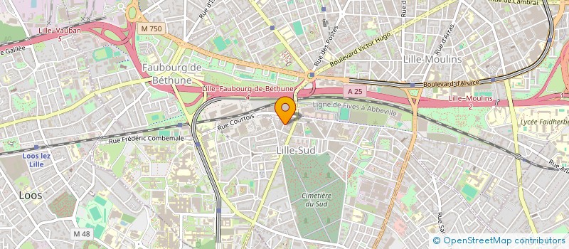 localisation de l'entreprise MCS à LILLE