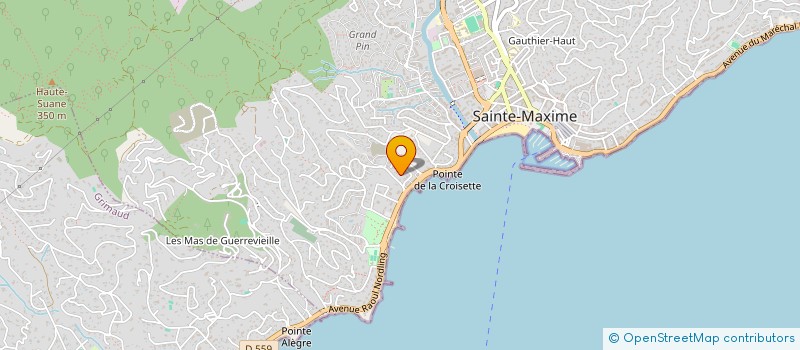localisation de l'entreprise MDGS à SAINTE-MAXIME