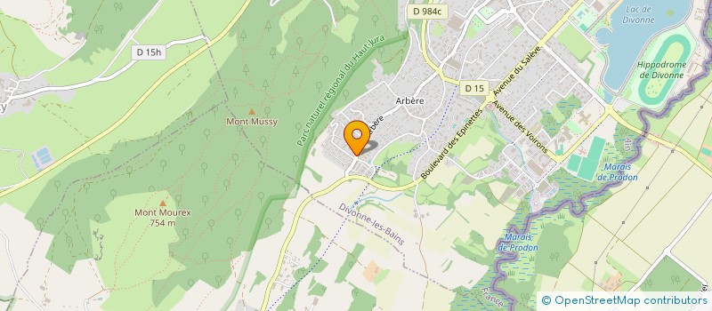 localisation de l'entreprise MDV MULTISERVICES à DIVONNE-LES-BAINS