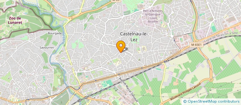 localisation de l'entreprise MECHINEAU INVESTISSEMENTS à CASTELNAU-LE-LEZ