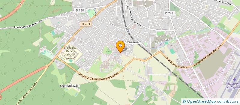 localisation de l'entreprise MED SERVICES  HAGUENAU