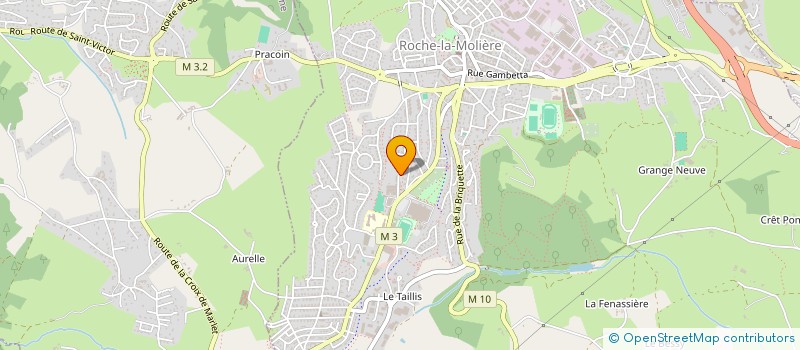 localisation de l'entreprise MEDALOG à ROCHE-LA-MOLIERE