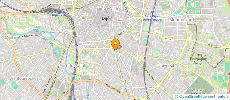 localisation de l'entreprise MEDECINE NUCLEAIRE BOURGOGNE à DIJON