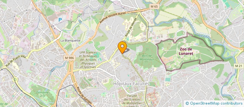 localisation de l'entreprise MEDIA CONTACT à MONTPELLIER