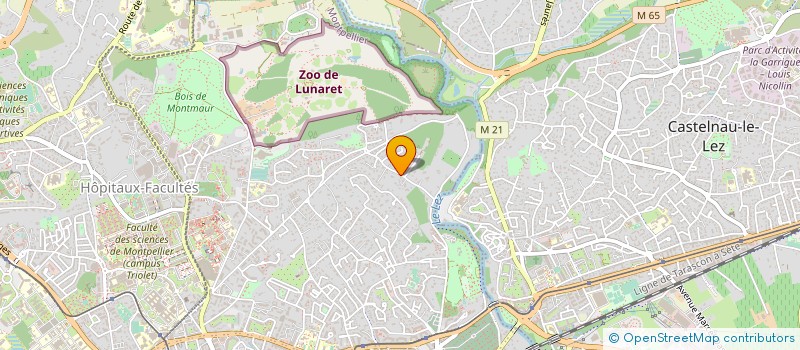 localisation de l'entreprise MEDIA COSMETIQUES DISTRIBUTION à MONTPELLIER