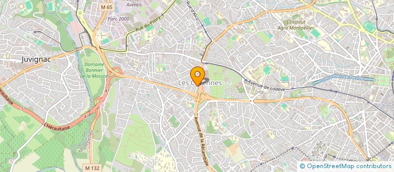 localisation de l'entreprise MEDIA PRINT à MONTPELLIER
