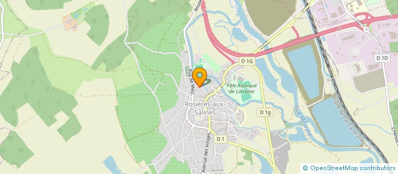 localisation de l'entreprise MEDIATHEQUE JOCELYNE FRANCOIS  ROSIERES-AUX-SALINES