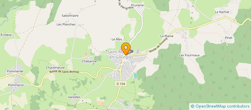 localisation de l'entreprise MEDICALE DU BOURG  SAINT-MAURICE-EN-GOURGOIS