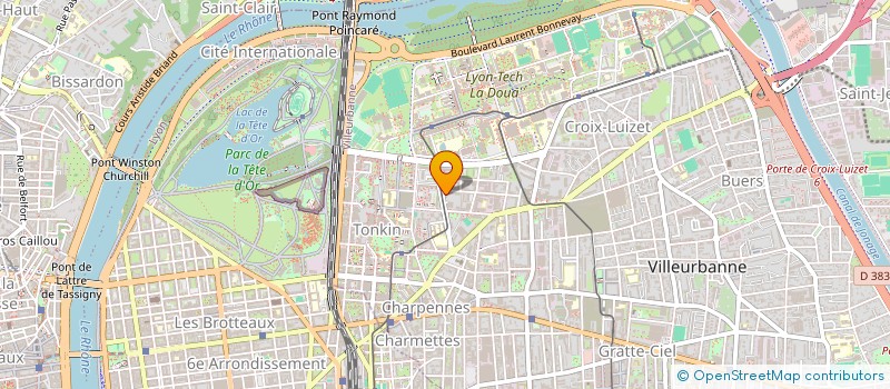 localisation de l'entreprise MEDIGONES  LYON