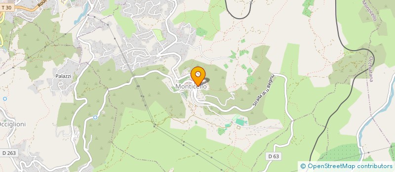 localisation de l'entreprise MEDITERRANEAN INSTITUTE OF INFORMATION SECURITY  MONTICELLO