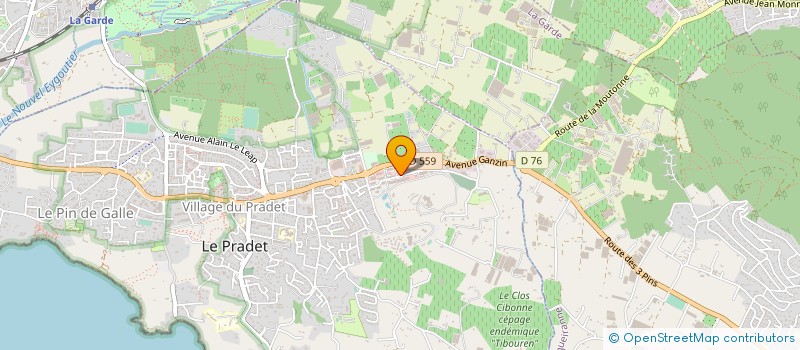 localisation de l'entreprise MEDITERRANEENNE DE FROID COMMERCIAL ET INDUSTRIEL  LE PRADET