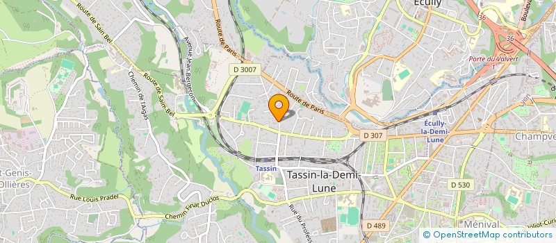 localisation de l'entreprise MEFF  TASSIN-LA-DEMI-LUNE