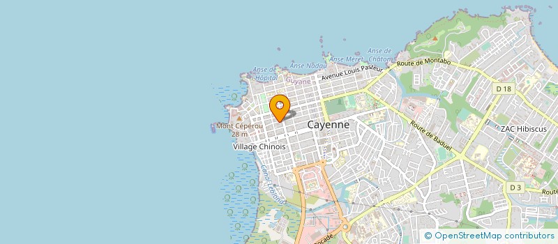 localisation de l'entreprise MEGA SERVICES à CAYENNE