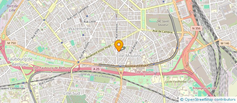 localisation de l'entreprise MEHOMIES  LILLE