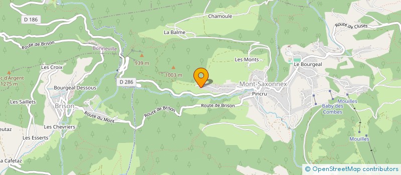 localisation de l'entreprise MEL & CO IMMOBILIER  THYEZ