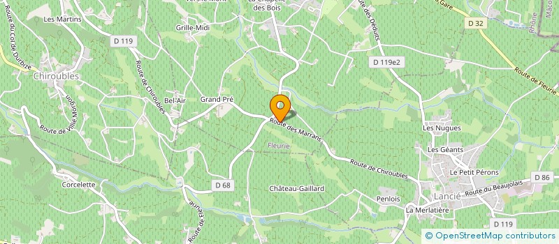 localisation de l'entreprise MELINAND-PASSOT à FLEURIE