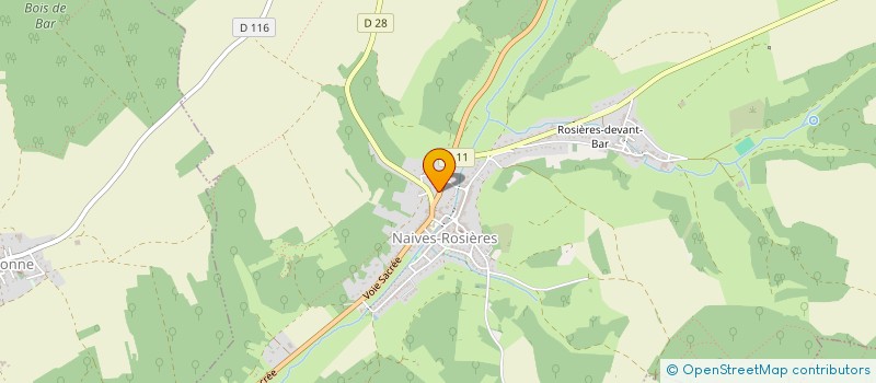 localisation de l'entreprise MELISYSCONSEIL à NAIVES-ROSIERES