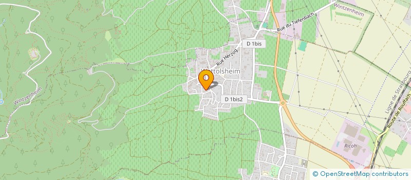 localisation de l'entreprise MELS PARTNERS  WETTOLSHEIM