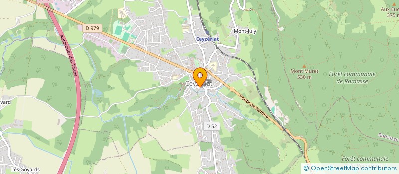 localisation de l'entreprise MELTA SARL à CEYZERIAT